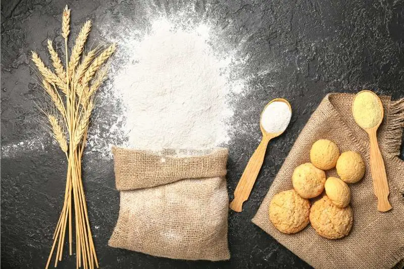 Can I Use Bread Flour To Bake Cookies? Know What to Expect Baking