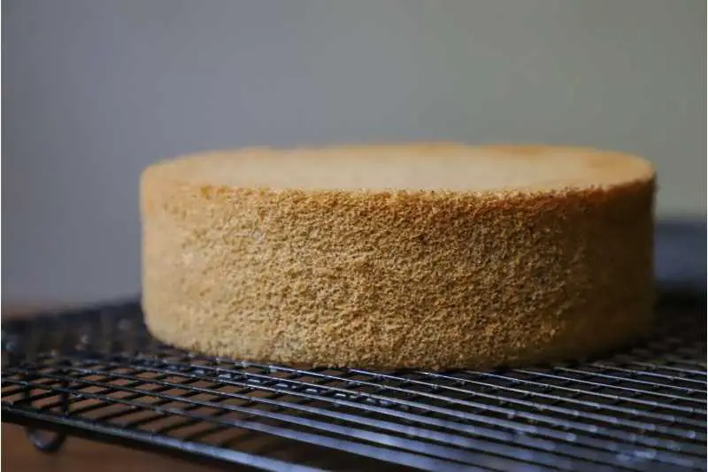Dry Cake with Overmixed Flour