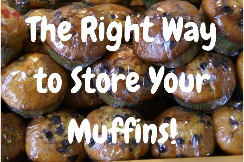 How To Properly Store Muffins to Keep Them Fresh Longer Baking Nook