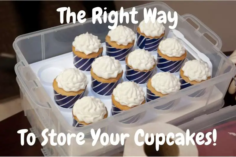 The Right Way to Store Your Cupcakes