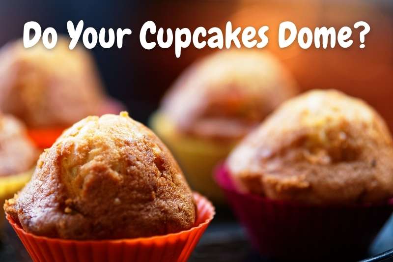 Do Your Cupcakes Dome