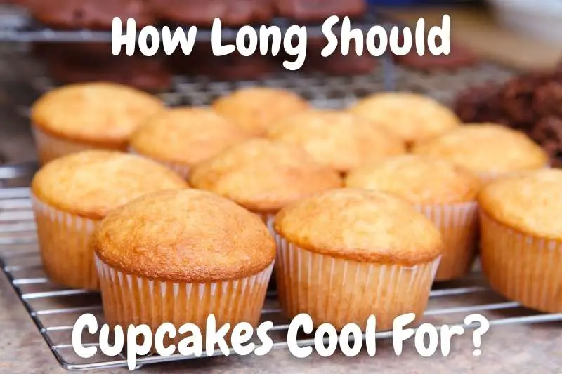 How Long Should Cupcakes Cool Before Frosting & Eating Baking Nook Dessert Recipes And Baking
