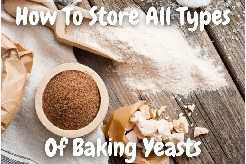 How To Properly Store All Types of Baking Yeasts Once Open Baking Nook Dessert Recipes And