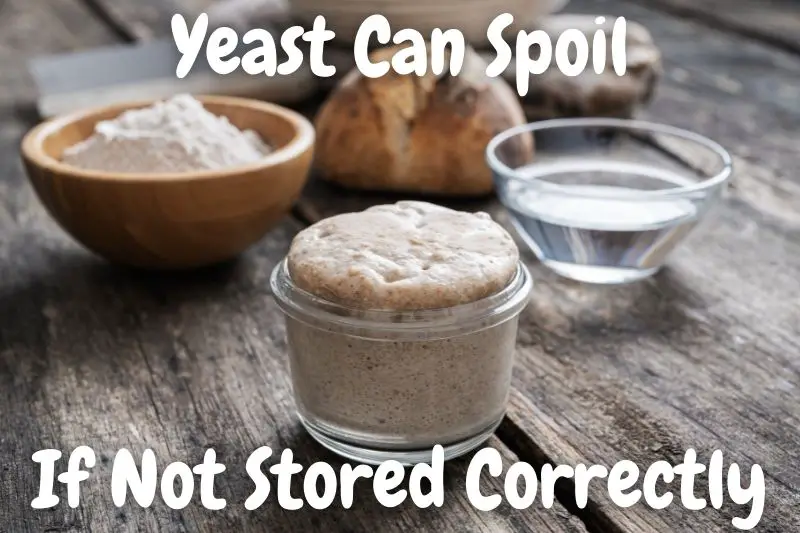 Yeast Can Spoil If Not Stored Correctly