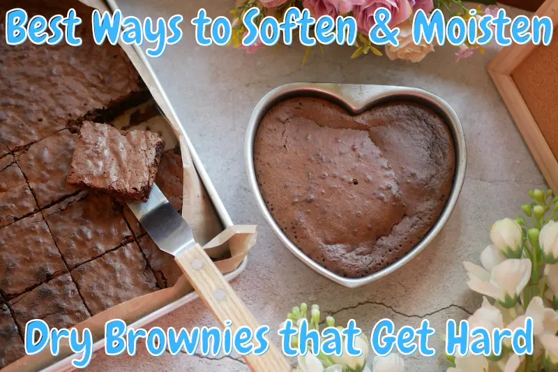 Best Ways to Soften & Moisten Dry Brownies that Get Hard