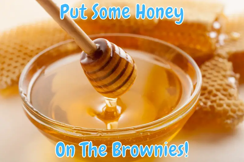 Put Some Honey On The Brownies!