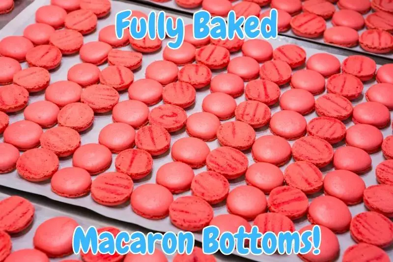 Fully Baked Macaron Bottoms!