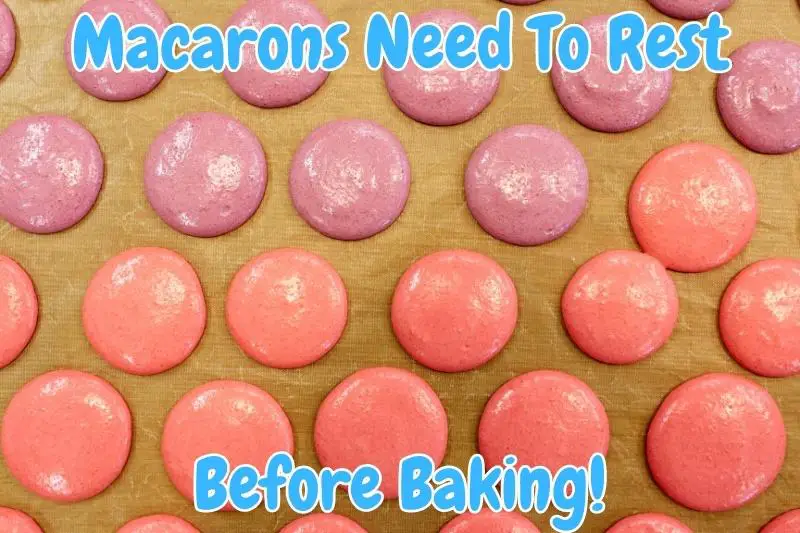 Macarons Need To Rest Before Baking!