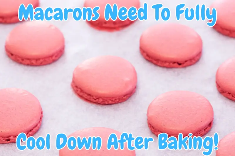 Macarons Need To Fully Cool Down After Baking!